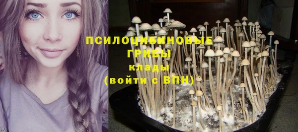 экстази Аркадак
