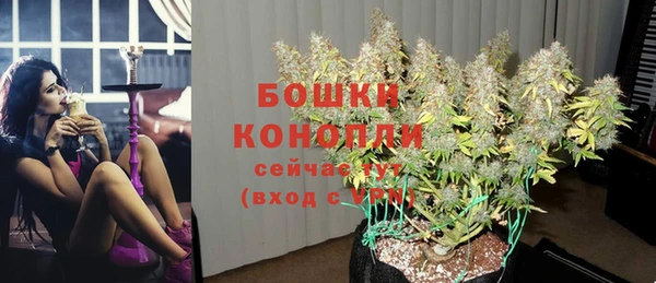стаф Армянск