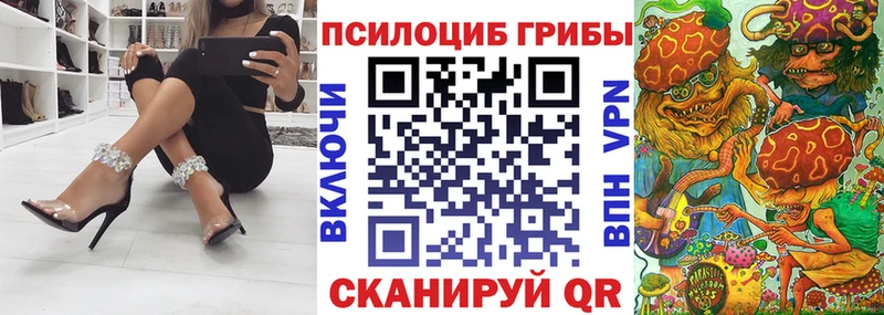 Псилоцибиновые грибы мицелий Шуя