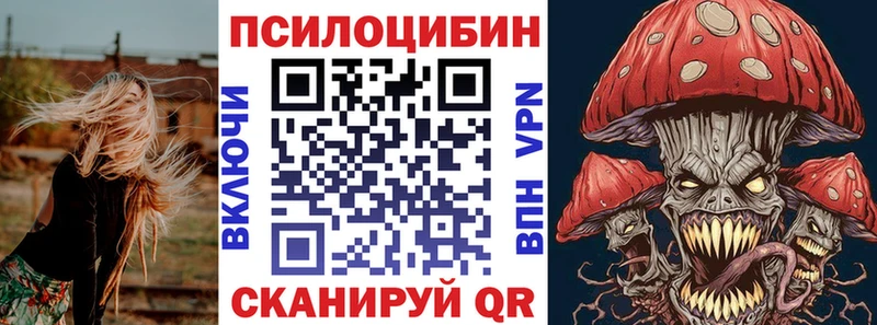 Галлюциногенные грибы мухоморы  цена   Шуя 
