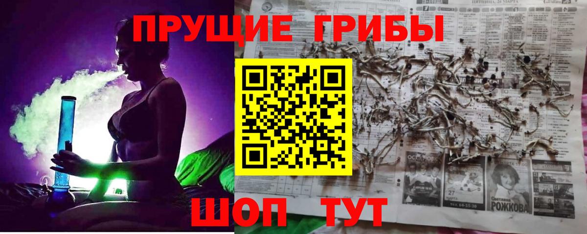 Шуя  Псилоцибиновые грибы Psilocybe  Псилоцибиновые грибы ЛСД  Вход с VPN 