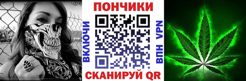 цены Шуя Бошки Шишки семена