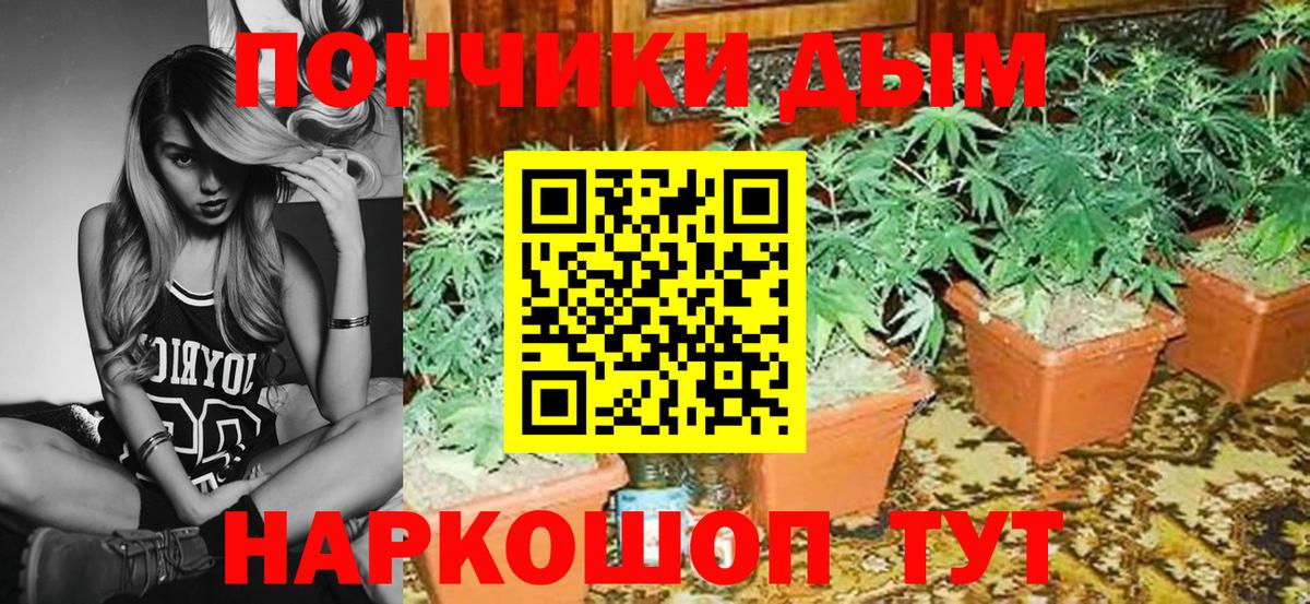Бошки марихуана конопля Шуя